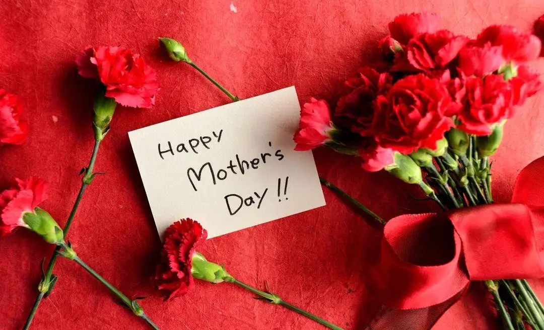 QLQ Wish All Mothers A Happy Holiday